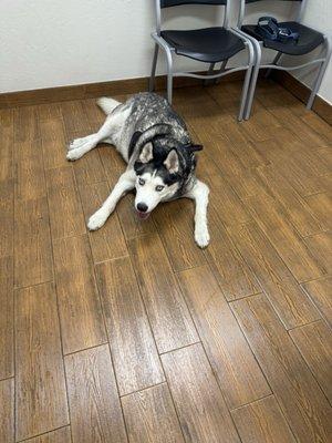 Homestead Animal Clinic