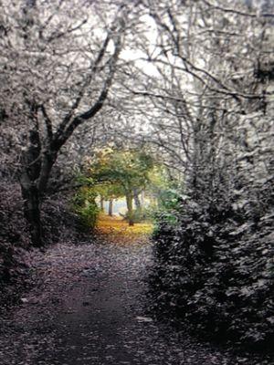 Healing and Psychiatry