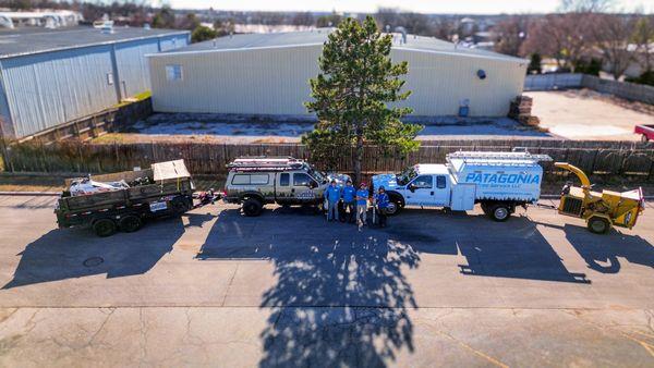 Patagonia Tree Service