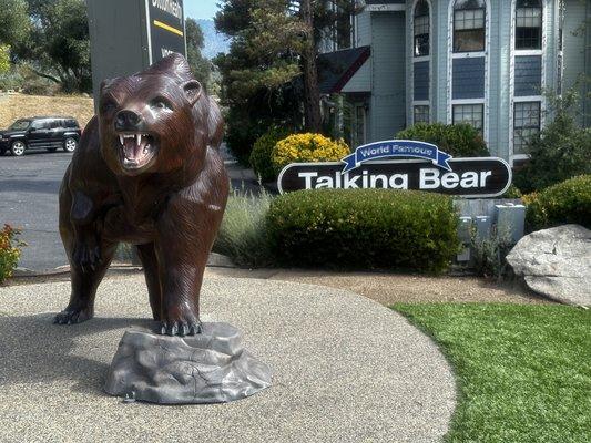 Talking Bear