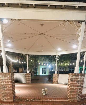 Mocha Coconut stopping for a Gazebo pic