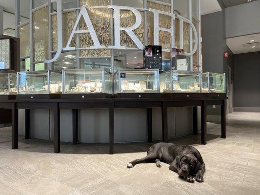 Jared The Galleria of Jewelry