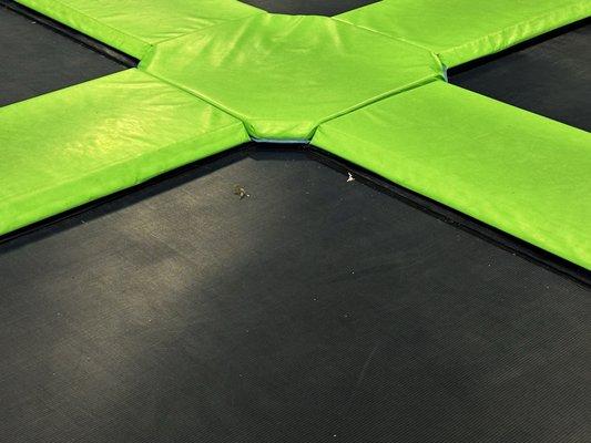 Hair and paper and crumbs on the trampolines