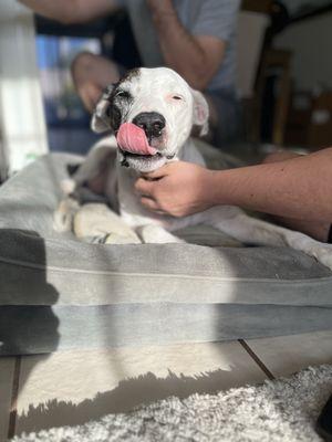 Our sweet girl Ariana