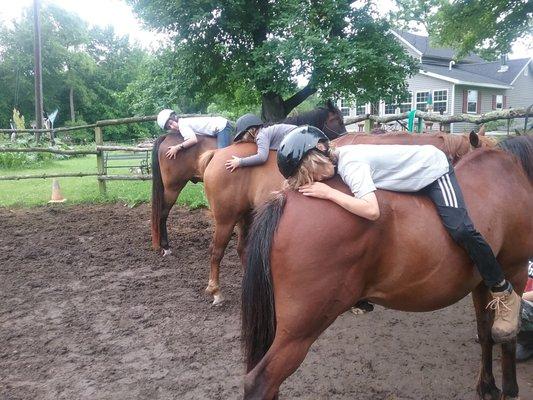 Gentle Reins Farm