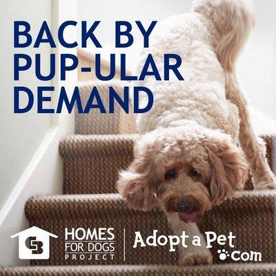 Coldwell Banker has embraced our core mission to find loving homes for adoptable pets with an incredible passion.