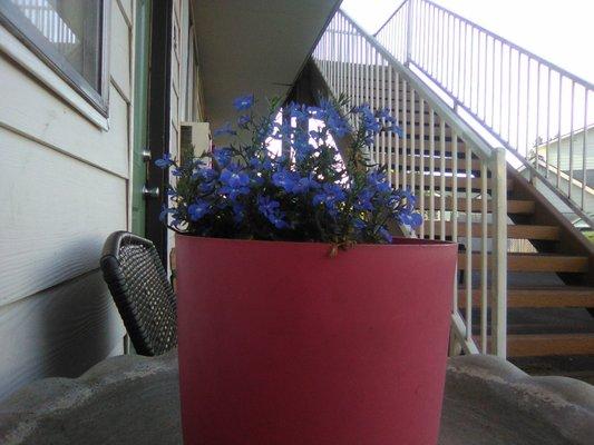 Coleman Hugh Inventor