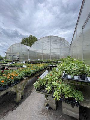 Wayside Garden Center