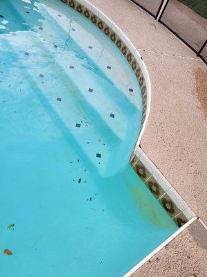 Beyond Pool Cleaning