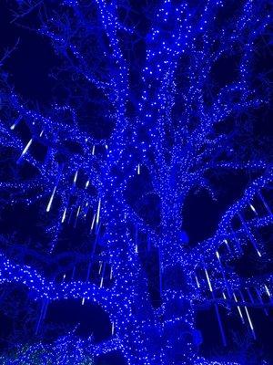 Daystar Television Network