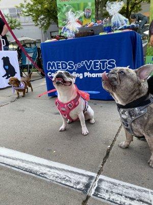 Meds For Vets Compounding Pharmacy