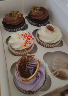 Sugar Coated Cupcakes