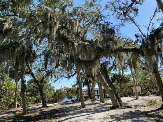 Emerson Point Park