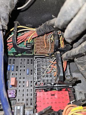 NW Automotive Professionals