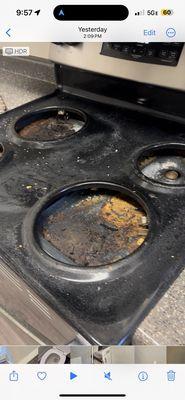 Clean-UP Woman's Cleaning Service