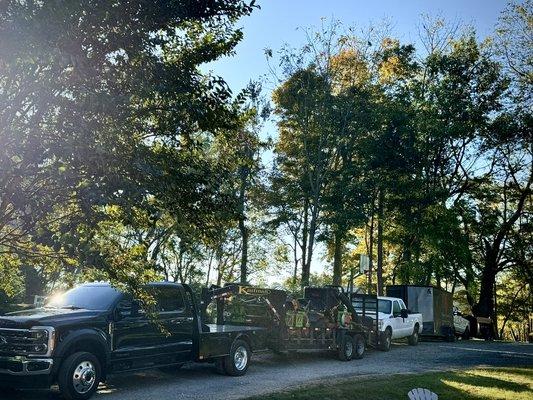 Hire the Tiger for your next project.. Tiger Cut Lawn Co.