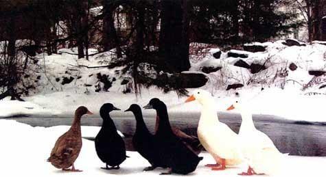 Riverside Ecological Design has us come in quarterly to give them a bookkeeping checkup...