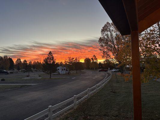 Yellowstone Grizzly RV Park