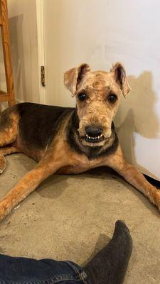 Mudpuppy’s Tub & Scrub - San Francisco