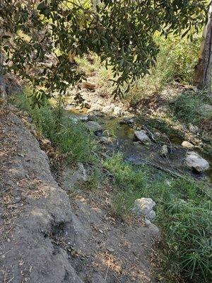 Limekiln Canyon Trail