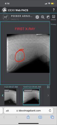 Coyne Veterinary Center - St. John