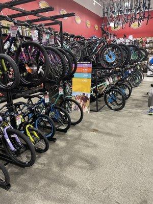 Dick’s Sporting Goods