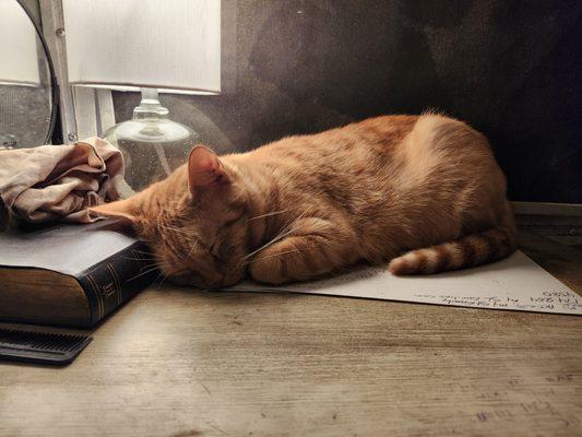 Happy Tails Pet Clinic