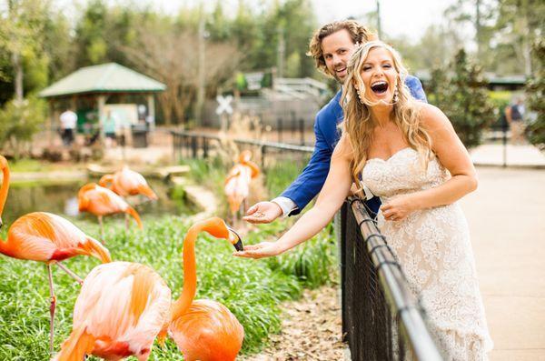 The Southern Planner