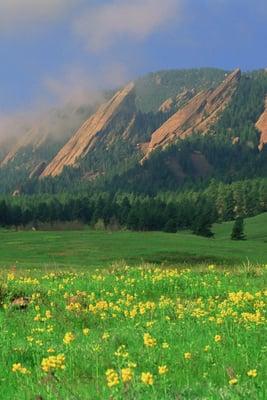 Boulder University Inn