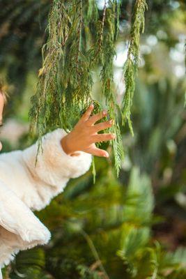 Entenmann Photography