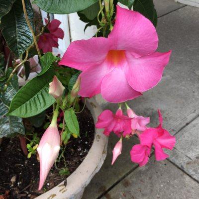 West Bergen Center For Children & Youth