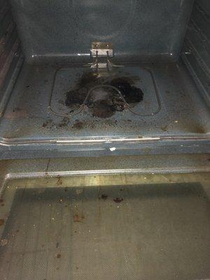 Exceptional Home Cleaning by Jojo