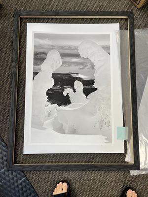 Toad Alley Picture Framing