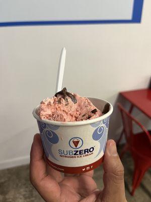 Sub Zero Nitrogen Ice Cream - Biscayne