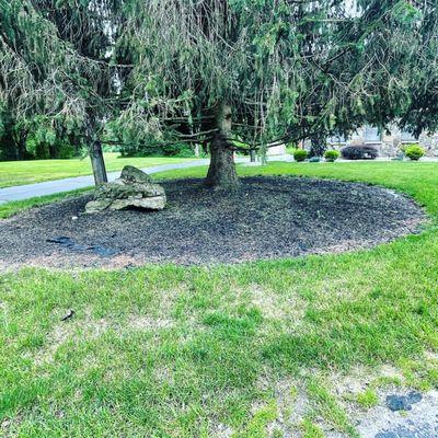 HC & Sons Landscape & Tick Control