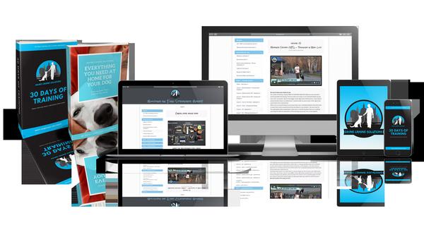 Training : We show you how to communicate with your dog. Build a great bond, teach them to behave, have manners inside and outside the house