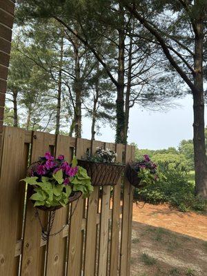 Meadows Farms Nurseries and Landscape