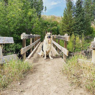 Trappers Lake Lodge & Resort