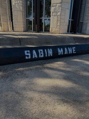 Sabin Mane