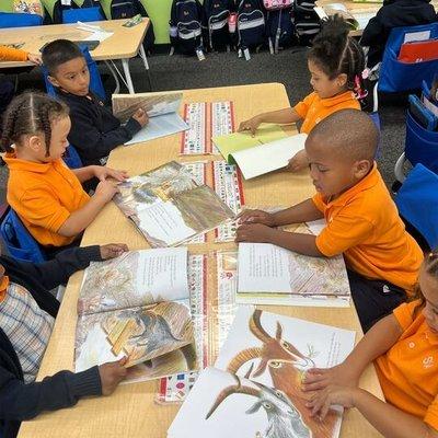 Success Academy Charter School - Bronx 4 Elementary