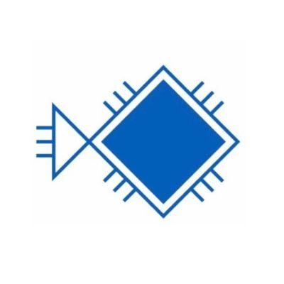 BluFish IT Solutions