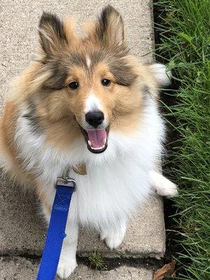 Training with Teddy!