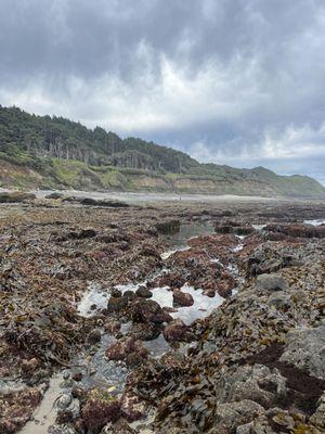 Strawberry Hill Wayside