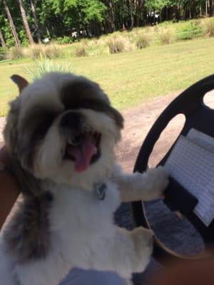 My Daddy's hitting pars & I'm driving