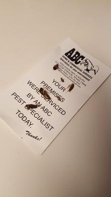 Killed these guys myself in ONE day. (this was after 3-5 days post "treatment")