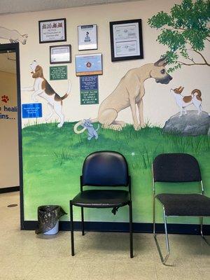 Care Veterinary Hospital
