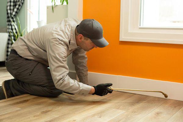 ProActive Pest Management