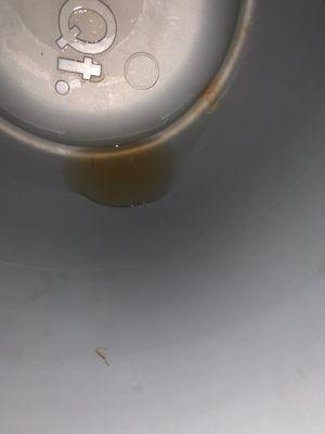 Nasty roff leak water