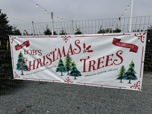 Bob's Christmas Trees
