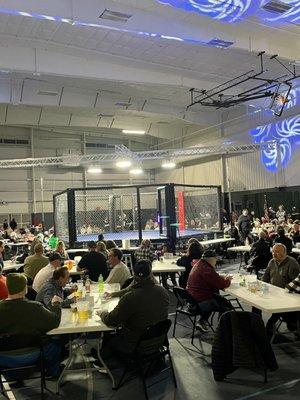 Saturday night MMA Cage match